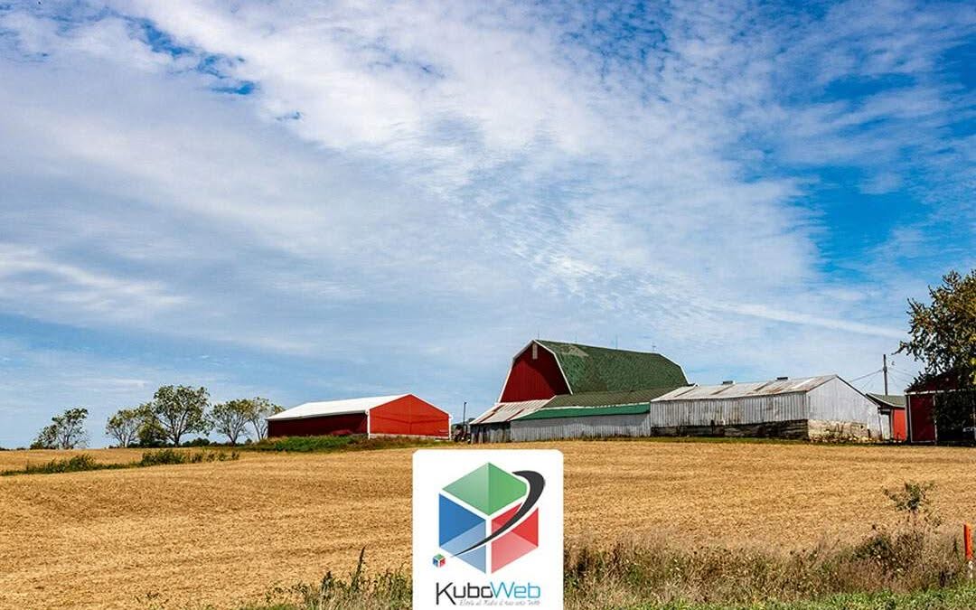 Realizzazione siti web Pescara: aziende agricole